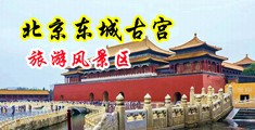 日本美女插bb视频大全中国北京-东城古宫旅游风景区